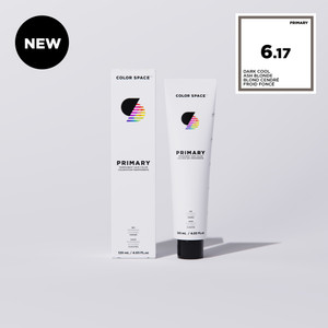 6.17 Primary Pre-Blended - Dark Cool Ash Blonde