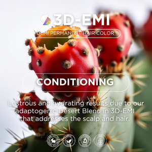 6.062 3D-EMI Dark Mahogany Blonde Kit Box 3x60ml